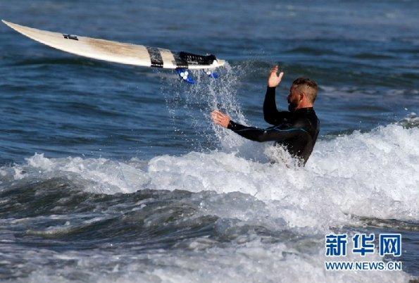 天鹅森林逃脱